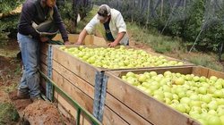 Whats_App_Image_2025_10_05_at_5_43_00_PM_1_fd39eb1346