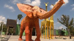 Whats_App_Image_2025_10_05_at_6_52_45_PM_9801f53960