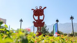 Whats_App_Image_2025_10_06_at_7_33_08_PM_1_7fe9f72dd5