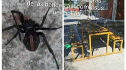 Whats_App_Image_2025_10_16_at_5_42_24_PM_1_1ab7bcadbd