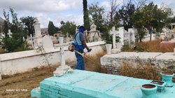 Whats_App_Image_2025_10_16_at_8_19_23_PM_6f822e5a61