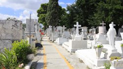 Whats_App_Image_2025_10_17_at_3_54_12_PM_1_dd6a3c274f