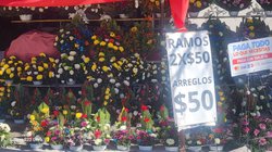 Whats_App_Image_2025_10_21_at_12_01_16_PM_1_a040f2fc03