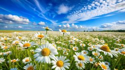 Whats_App_Image_2025_10_22_at_2_10_24_PM_a73c7b80d1