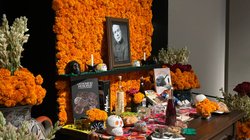 Whats_App_Image_2025_10_26_at_6_23_02_PM_1_07544d5a90