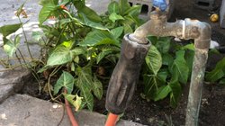 Whats_App_Image_2025_10_27_at_2_53_40_PM_a3b170dd08