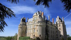 Whats_App_Image_2025_10_30_at_2_24_39_PM_1ae5e26f04