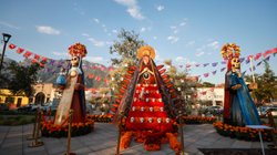 Whats_App_Image_2025_11_01_at_8_29_13_PM_66c2bdcf1c