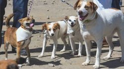 Whats_App_Image_2025_11_12_at_1_23_25_AM_5707efb8f8