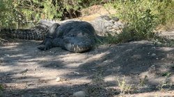 Whats_App_Image_2025_11_13_at_7_26_45_AM_875579f153