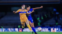 Whats_App_Image_2025_11_13_at_8_17_23_PM_ac842f5bf1