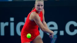 Whats_App_Image_2025_11_15_at_10_19_34_PM_dfc9a13b29