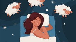 Whats_App_Image_2025_11_26_at_2_18_46_PM_72a653c14c