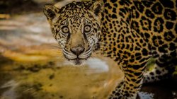 Whats_App_Image_2025_11_28_at_1_29_52_PM_5c5b017c49