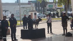 Whats_App_Image_2025_11_28_at_4_39_02_PM_ca3c5a7af7