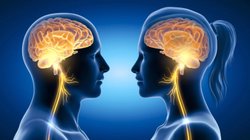 Whats_App_Image_2025_12_12_at_1_35_47_PM_df95b64ad1