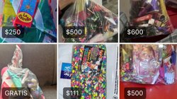 Whats_App_Image_2025_12_16_at_8_41_41_PM_2_4f446d47db