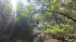 Whats_App_Image_2025_12_21_at_5_49_32_PM_13191253fd