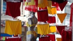 Whats_App_Image_2025_12_30_at_9_37_00_PM_1_5312dae5bb