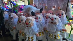 Whats_App_Image_2025_12_31_at_3_58_56_PM_eb4e280639