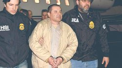 Whats_App_Image_2026_01_02_at_1_36_06_AM_bb3a3db057