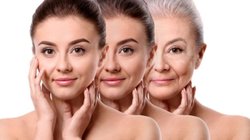 Whats_App_Image_2026_01_06_at_4_12_10_PM_a1e4477a72