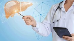 Whats_App_Image_2026_01_09_at_4_17_20_PM_fc5e423d09