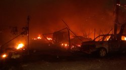 Whats_App_Image_2026_01_10_at_9_36_32_PM_9fedefa3c4