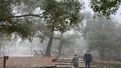 Whats_App_Image_2026_01_11_at_1_56_03_PM_85e9ab9512