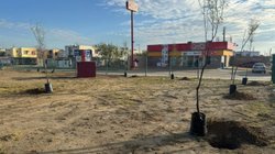 Whats_App_Image_2026_01_15_at_5_41_10_PM_80cd738e94