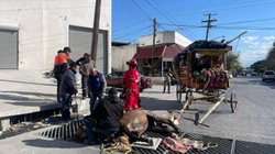 Whats_App_Image_2026_01_17_at_5_02_05_PM_1_d8bfdcb341