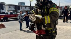 Whats_App_Image_2026_01_28_at_5_32_03_PM_eabbec59bc