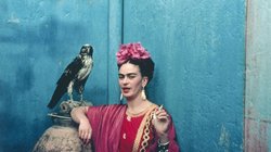 Whats_App_Image_2026_01_29_at_7_13_24_PM_8e5c11eadb