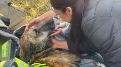 Whats_App_Image_2026_02_01_at_8_42_13_PM_3b4d7e7ff1