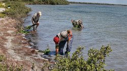 Whats_App_Image_2026_02_03_at_1_33_08_AM_9c84ae7559