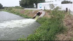 Whats_App_Image_2026_02_03_at_6_07_20_PM_1f42dd8a19