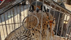 Whats_App_Image_2026_02_04_at_6_52_11_PM_e9e4be17a4