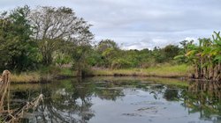 Whats_App_Image_2026_02_04_at_6_59_20_PM_2_77129d9bed