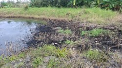 Whats_App_Image_2026_02_04_at_6_59_21_PM_cc428734c9