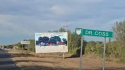 Whats_App_Image_2026_02_05_at_3_32_35_PM_1c756bd5d9