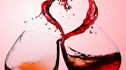 Whats_App_Image_2026_02_10_at_2_52_09_PM_de1be69ba6