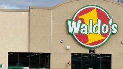 Whats_App_Image_2026_02_10_at_5_31_13_PM_335d31236f