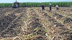 Whats_App_Image_2026_02_12_at_1_14_56_AM_aa9b2c8570