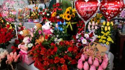 Whats_App_Image_2026_02_12_at_1_52_18_PM_1ebfd0a6b9