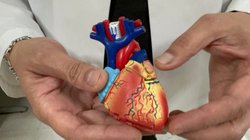 Whats_App_Image_2026_02_12_at_3_32_12_PM_9af26c8f06