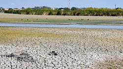 Whats_App_Image_2026_02_12_at_4_13_29_PM_f80823fec6