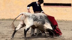 Whats_App_Image_2026_02_13_at_12_51_45_AM_60e08a9b09