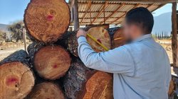 Whats_App_Image_2026_02_16_at_3_20_09_PM_199c0cdd20