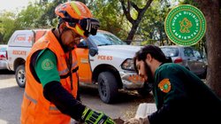 Whats_App_Image_2026_02_17_at_2_33_24_PM_1297d5a227