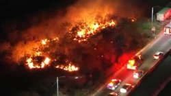 Whats_App_Image_2026_02_19_at_10_55_09_PM_532620bb58